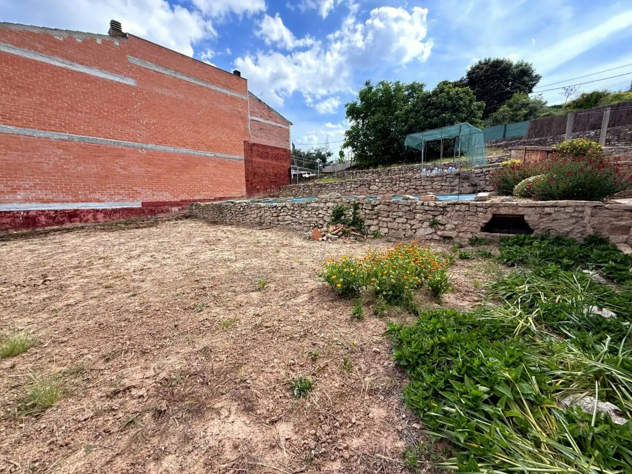 Rural land for sale in Calle Buenavista, imagen 4