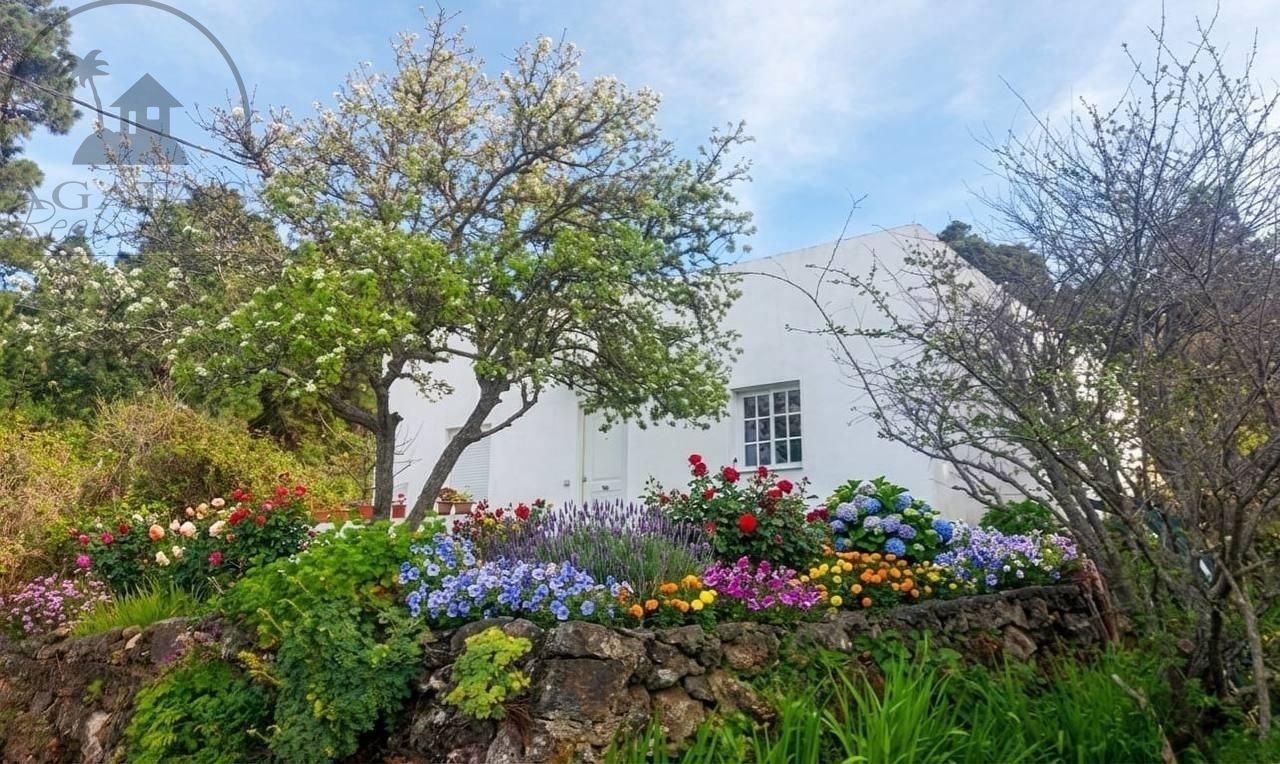 Garden of House or chalet for sale in Garachico  with Heating, Private garden and Terrace