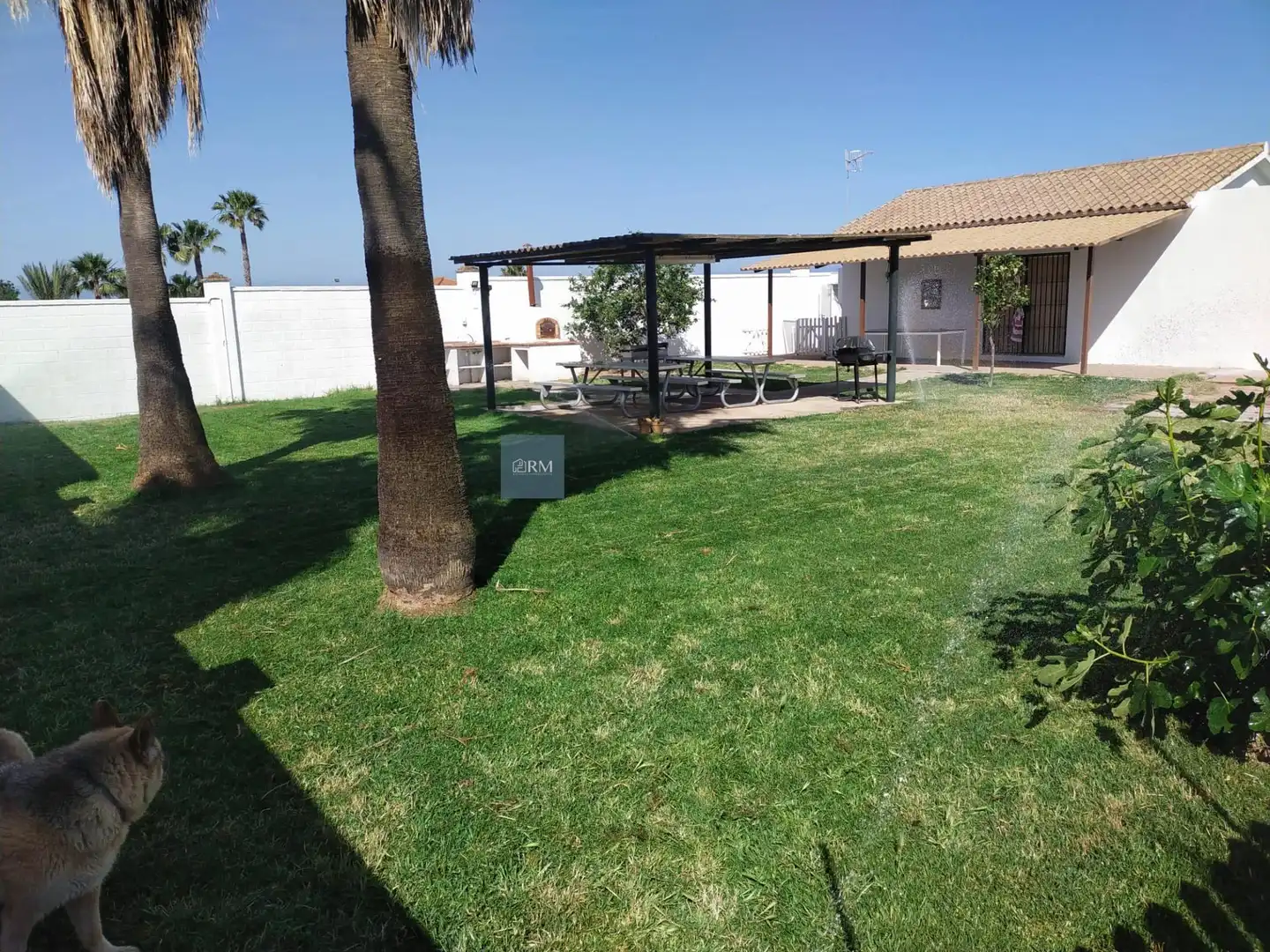 Jardín de Casa o chalet de alquiler en Sanlúcar de Barrameda con Aire acondicionado
