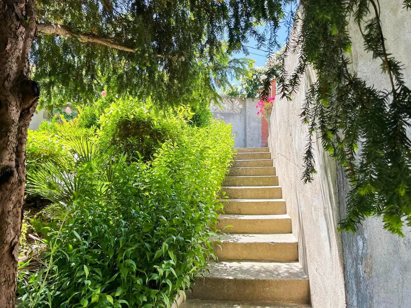 Jardí de Casa o xalet en venda en Esparreguera amb Calefacció, Jardí privat i Terrassa