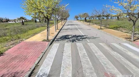 Foto 3 de Residencial en venta en Urbanizacion Baldio, 152, Palma del Río, Córdoba