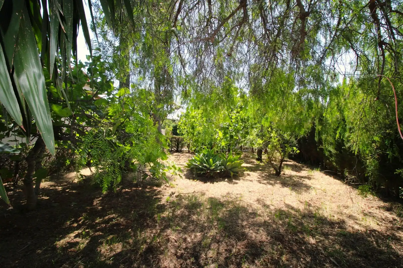 Jardín de Casa o chalet en venta en Marratxí con Aire acondicionado, Calefacción y Jardín privado
