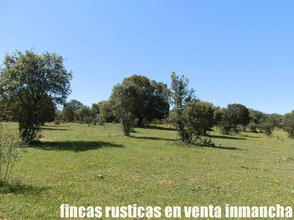 Terreno rustico in vendita a Ciudad Rodrigo, imagen 7