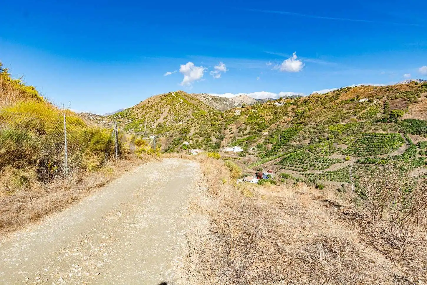 Terreno rústico en venta en Frigiliana, imagen 6