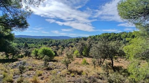 Finca rústica en Ráfales, immagine 4