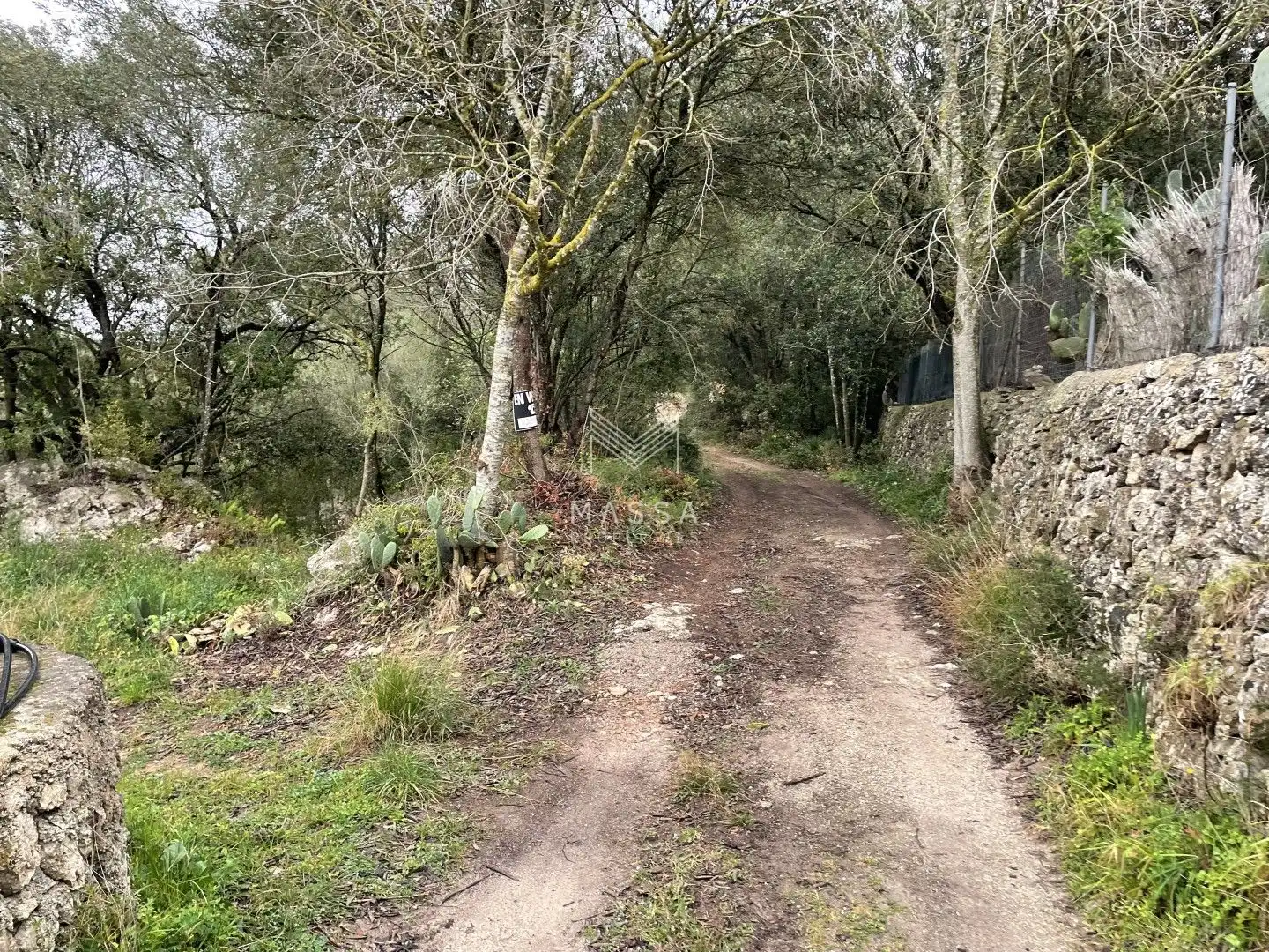 Terreny rústic en venda a Artà Poble