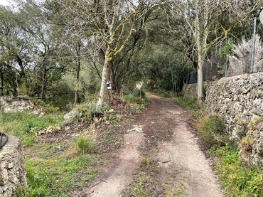 Terreno rustico in vendita a Artà Poble