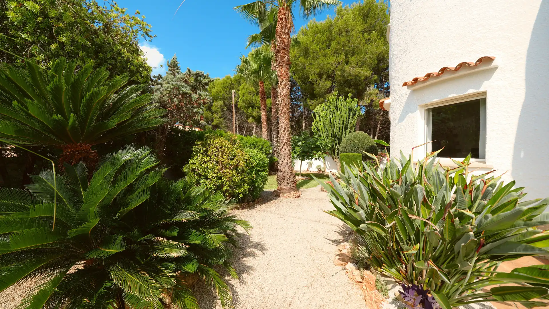 Casa rústica con terraza en venta en Els Poblets, imagen 12