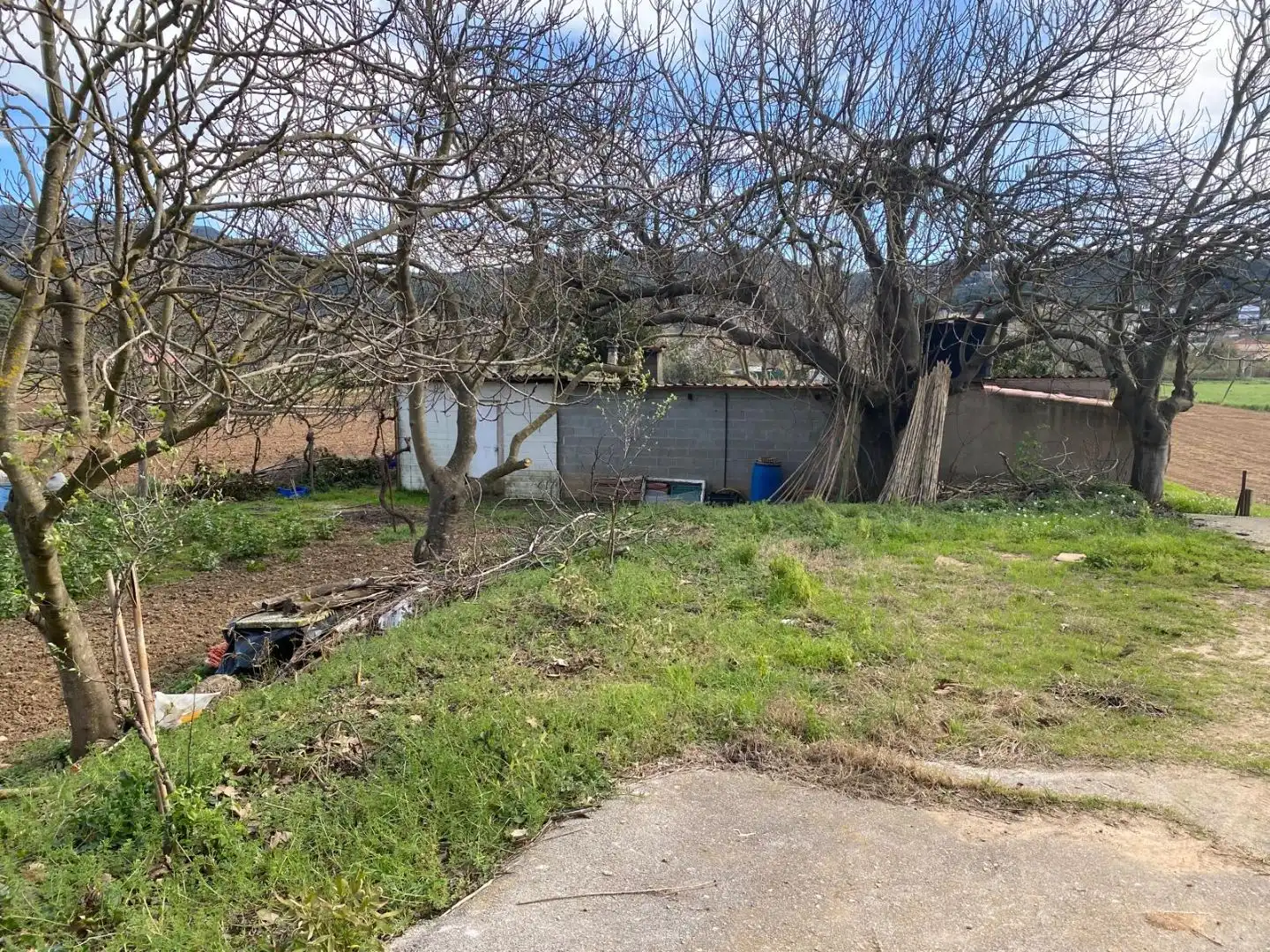 Terreny rústic en venda a Carretera Vallderiolf 8, imagen 18