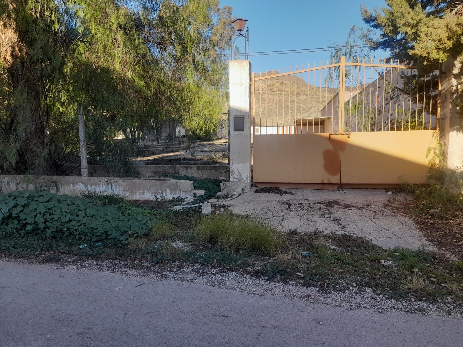 Industrial land to rent in Lorca