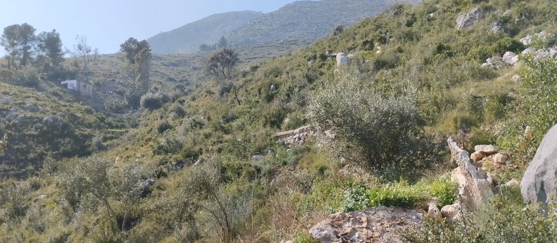 Rural land for sale in Pego, imagen 11