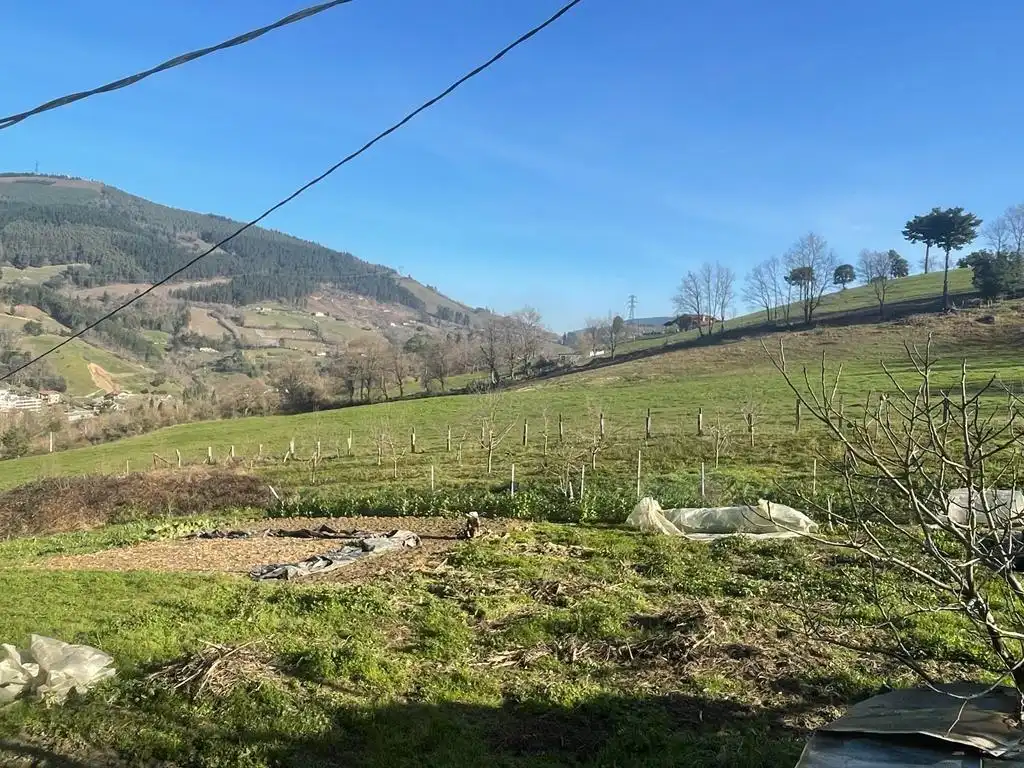 Land for sale in Balmaseda