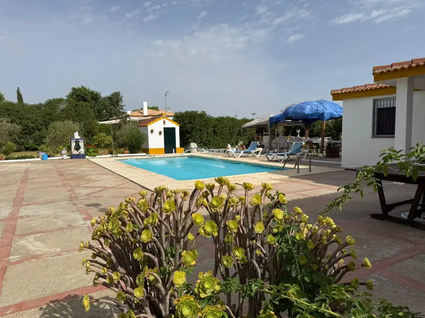 Xalet amb piscina en venda a 5 Urbanización los Jinetes 1 Fase, imagen 14