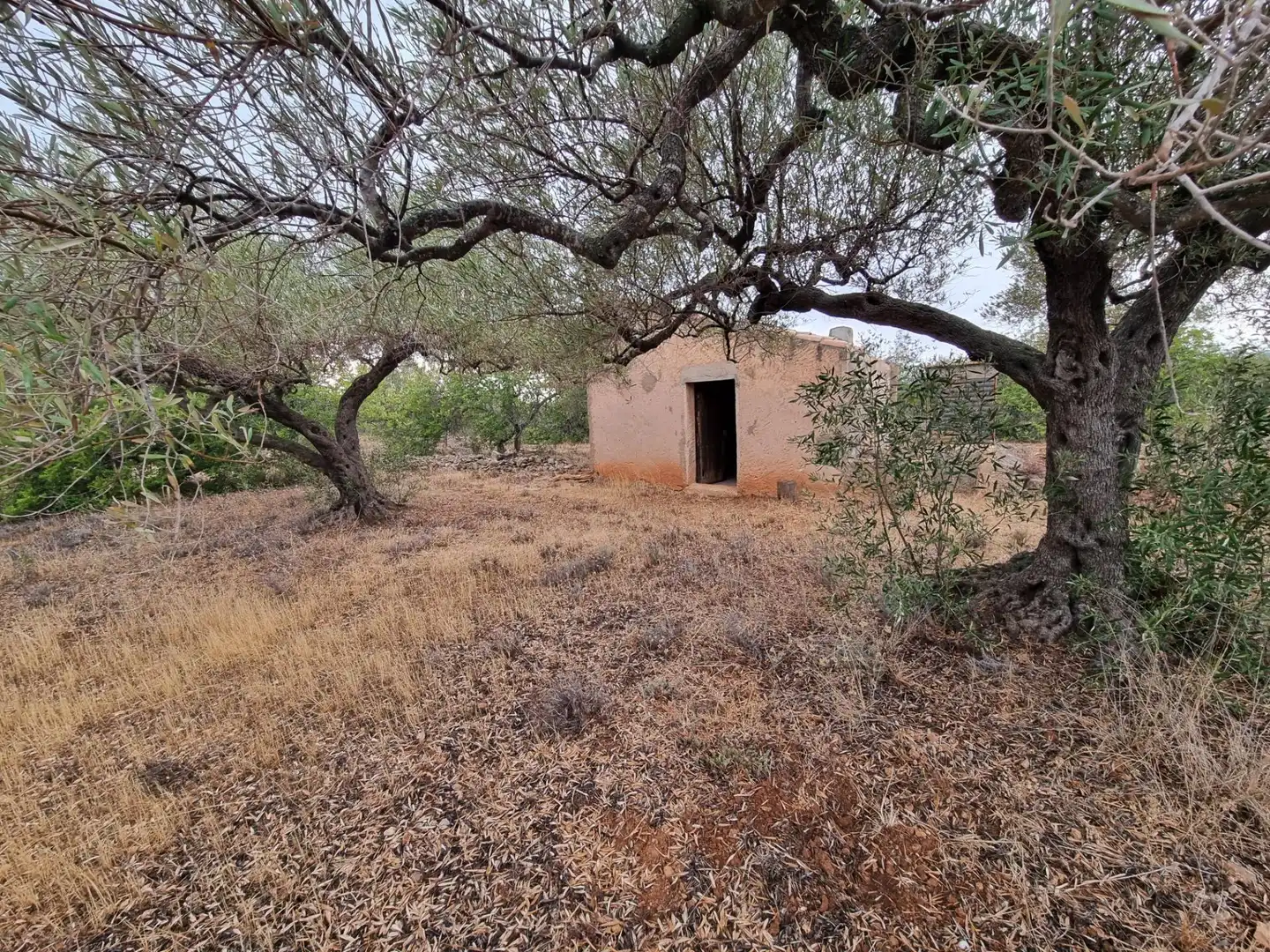 Finca rústica en venta en L'Ametlla de Mar 