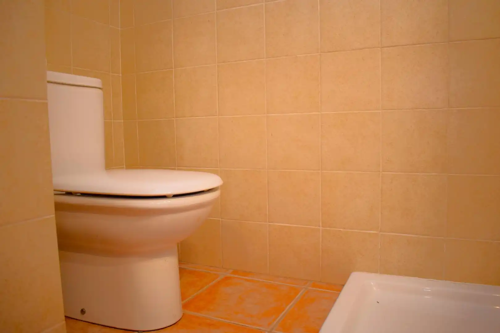 Badezimmer von Country house zur Miete in Sa Pobla mit Privatgarten, Terrasse und Möbliert