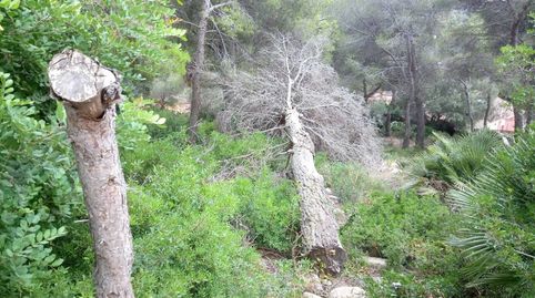 Foto 4 de Terreno en venta en Calle Tulipa, Costa Cunit - Els Jardins - Els Rosers, Cunit