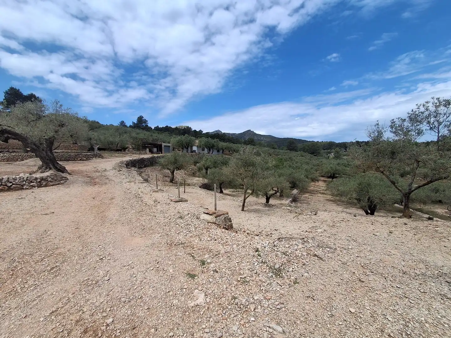 Terreno rustico in vendita a El Perelló, imagen 10