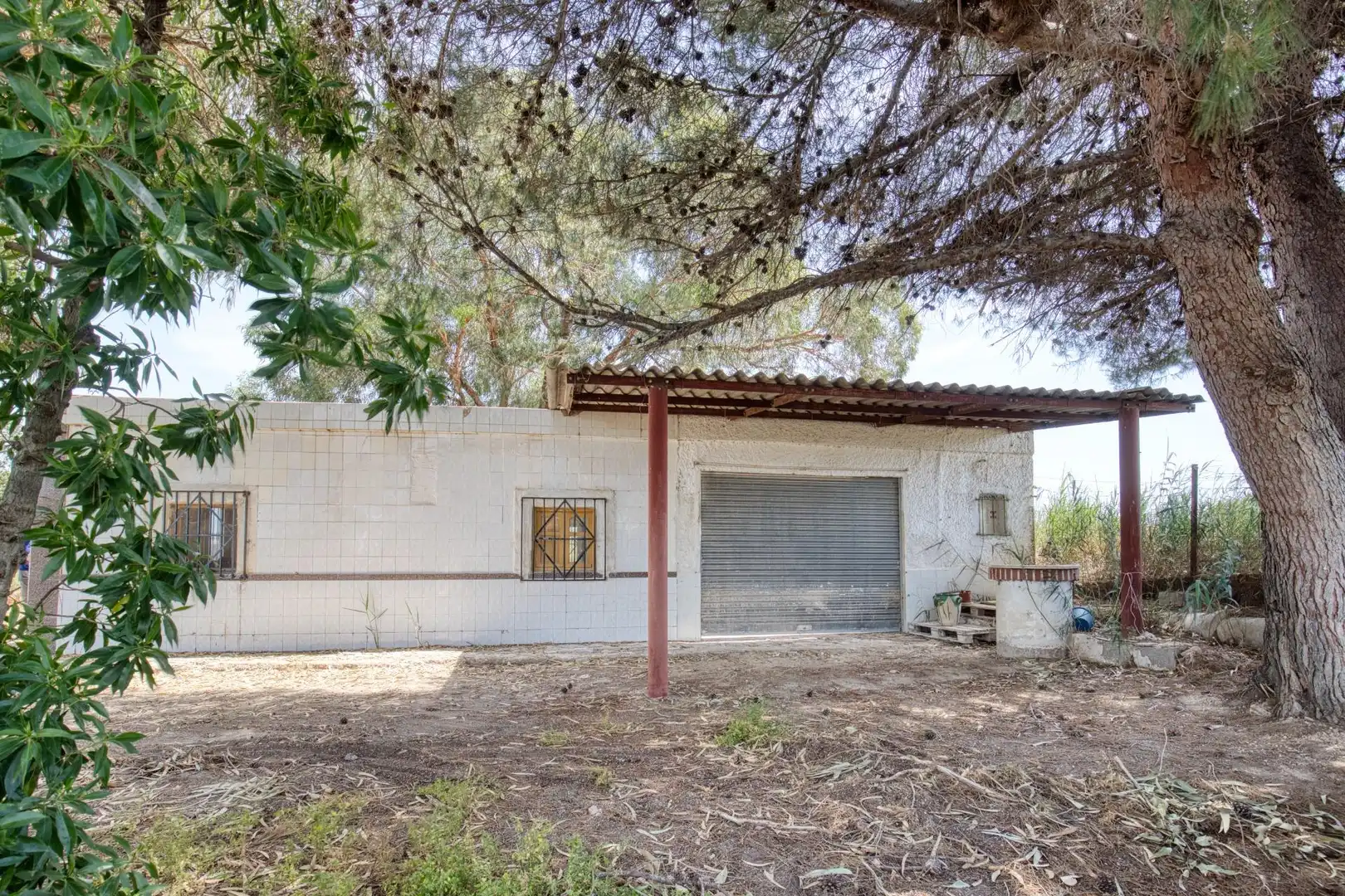 Vista exterior de Finca rústica en venta en Elche / Elx con Jardín privado, Terraza y Trastero