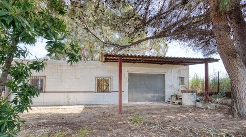 Foto 2 de Finca rústica en venda a Partida Marina, La Marina, Elche / Elx
