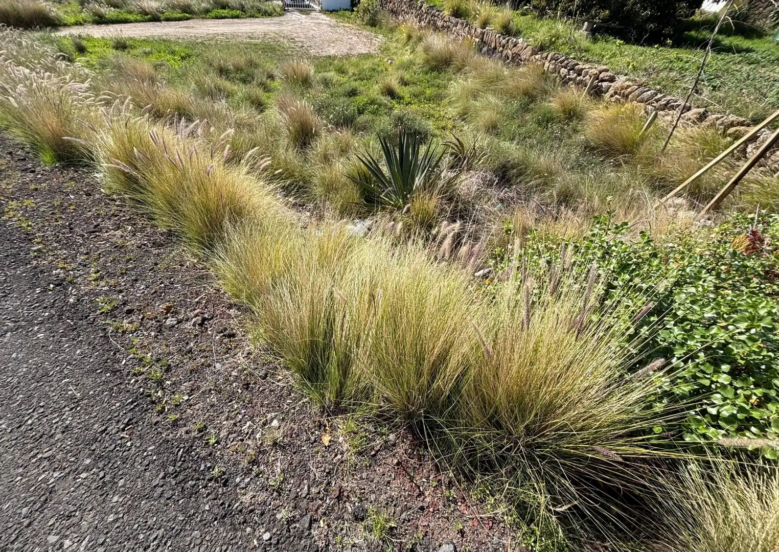 Lands and plots for sale in Carretera Carretera General del Sur 16B, imagen 11