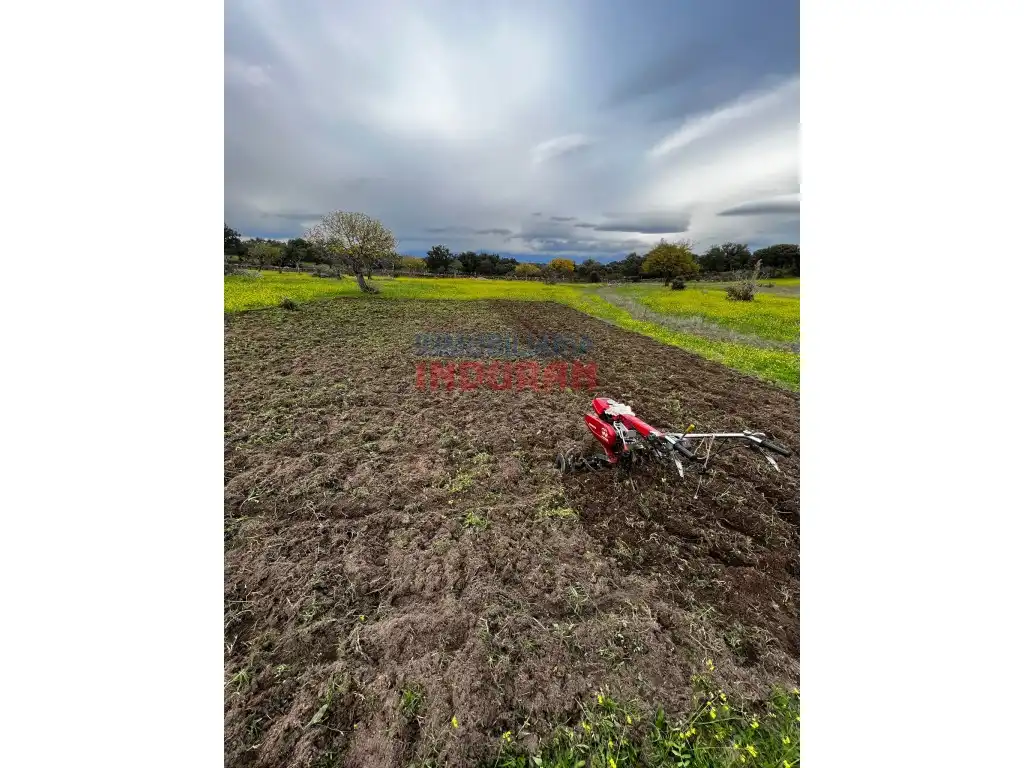 Finca rústica en venta en Valdehúncar