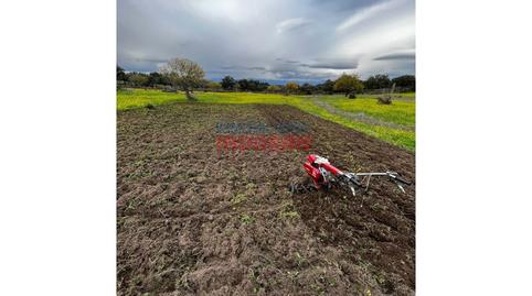 Foto 5 de Finca rústica en venta en Calle Roque, Valdehúncar, Cáceres