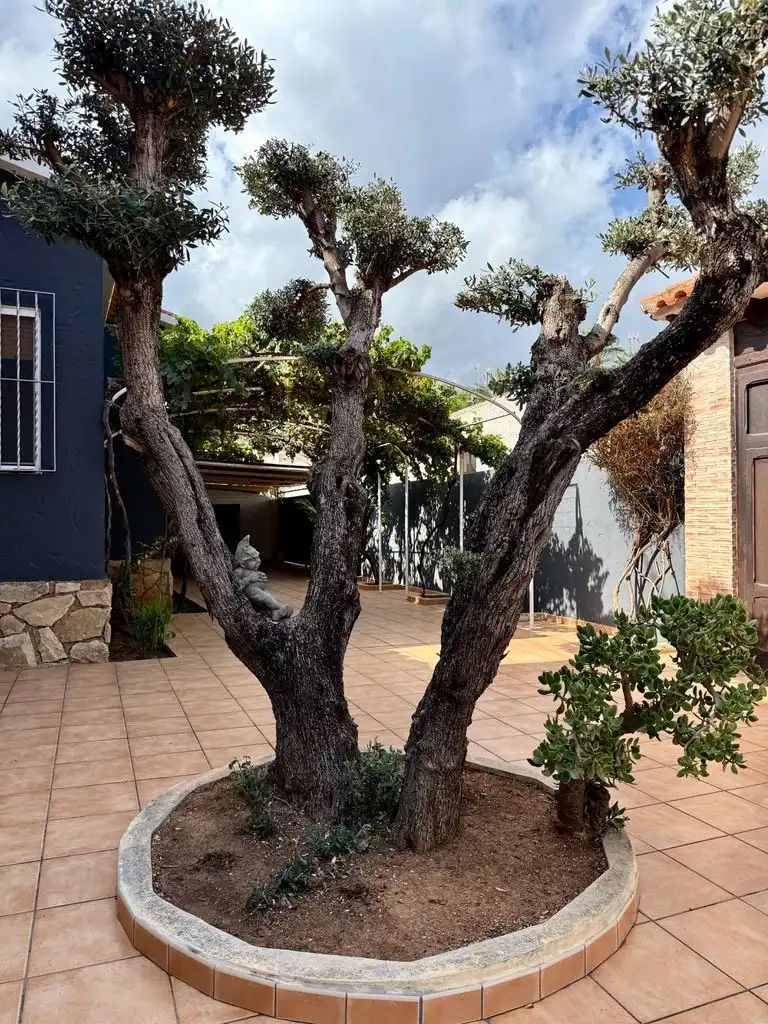 Casa amb piscina en venda a Las Marinas / Les Marines, imagen 33