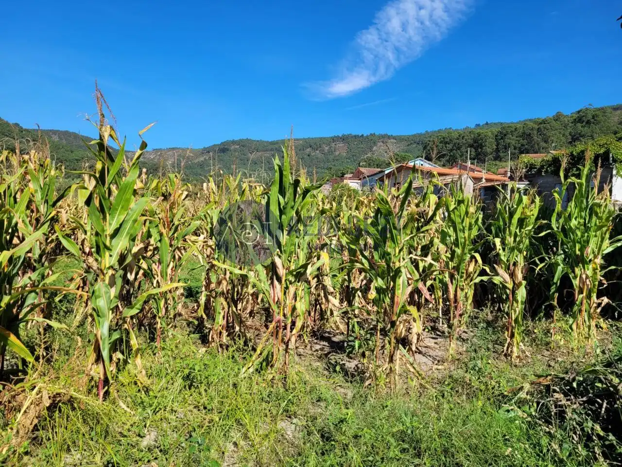 Terrenys i solars en venda a Lugar a Granxa, imagen 5