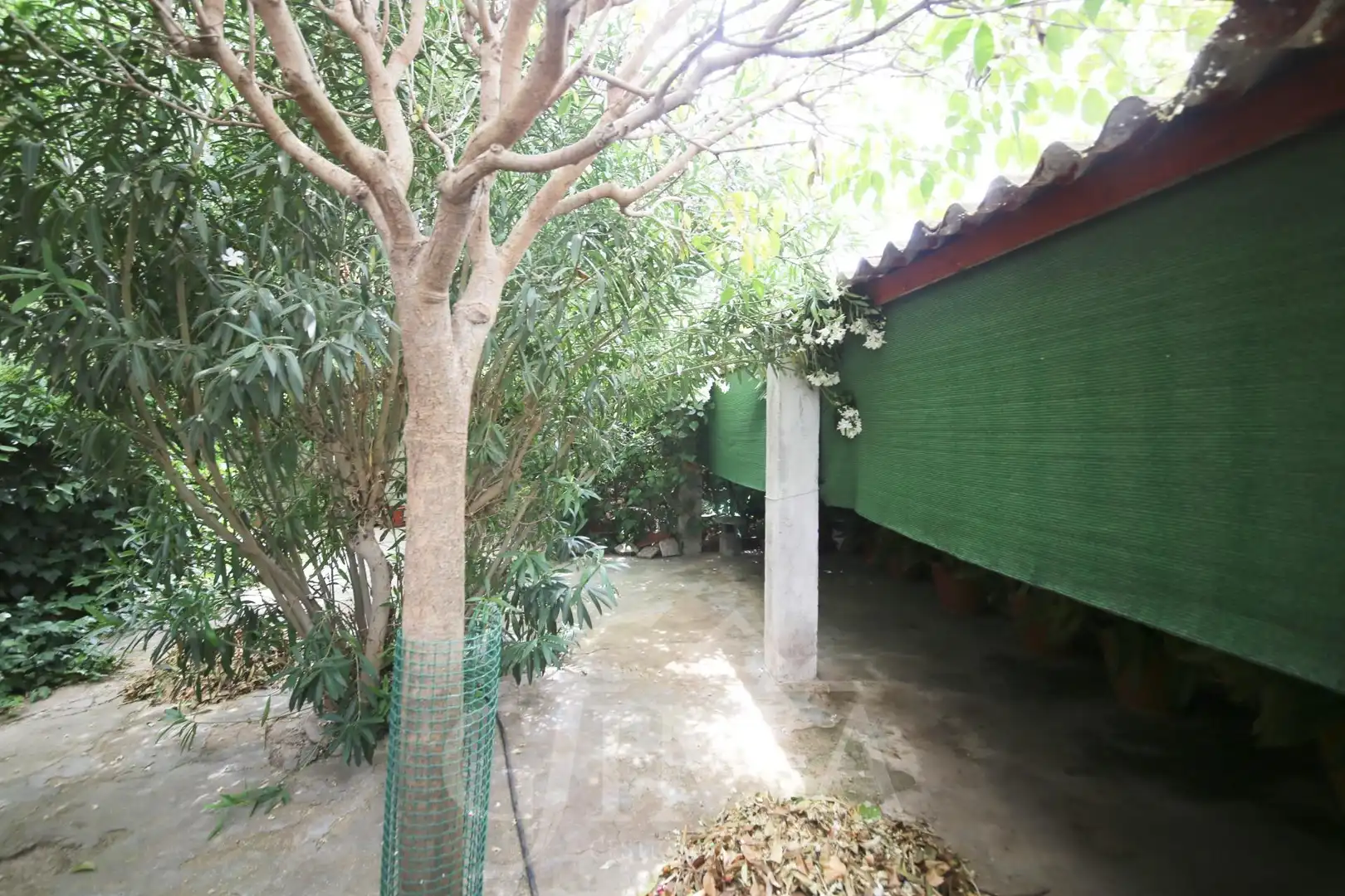 House for sale in Argamasilla de Alba, imagen 21