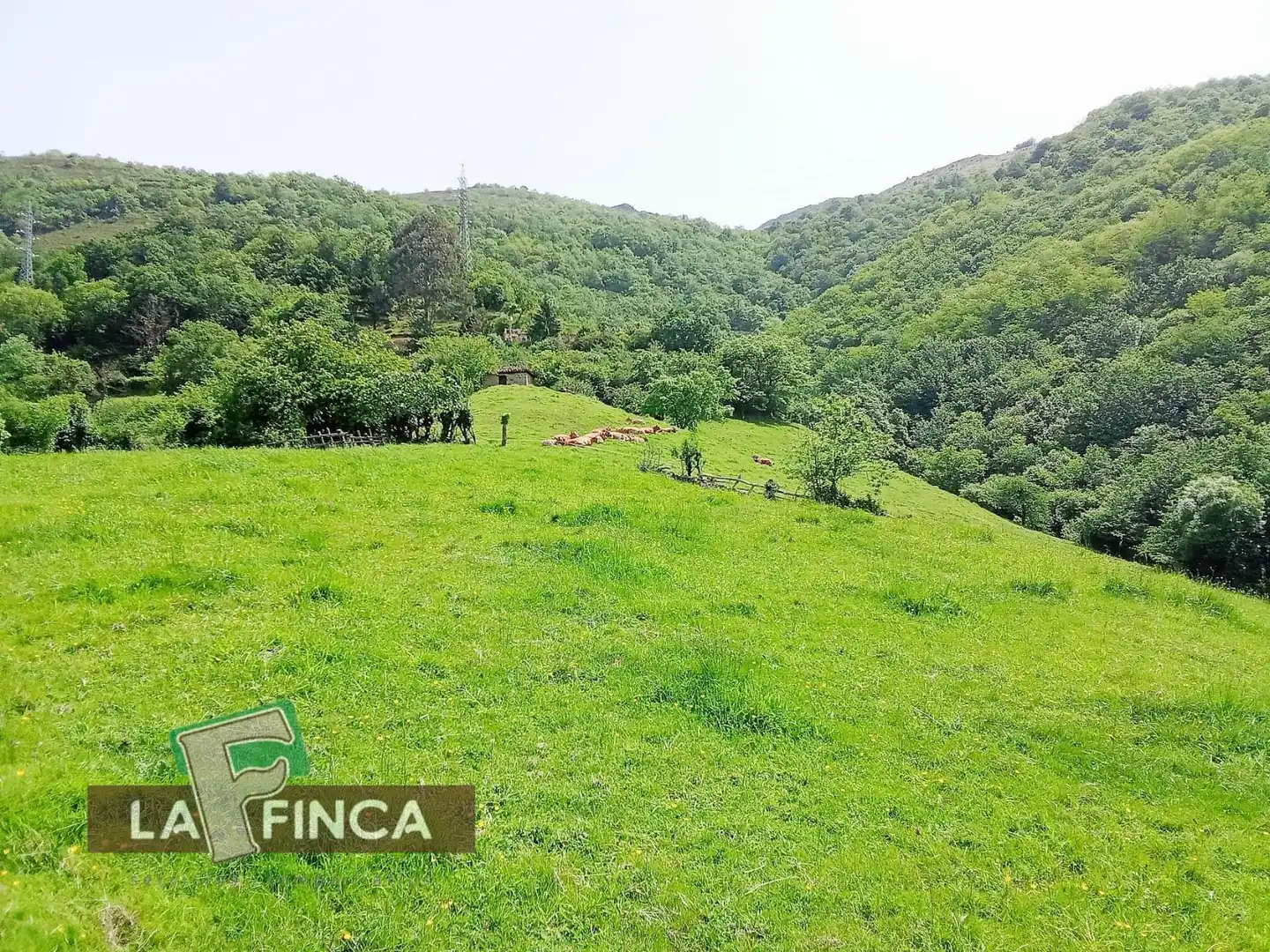Residencial en venta en Lena