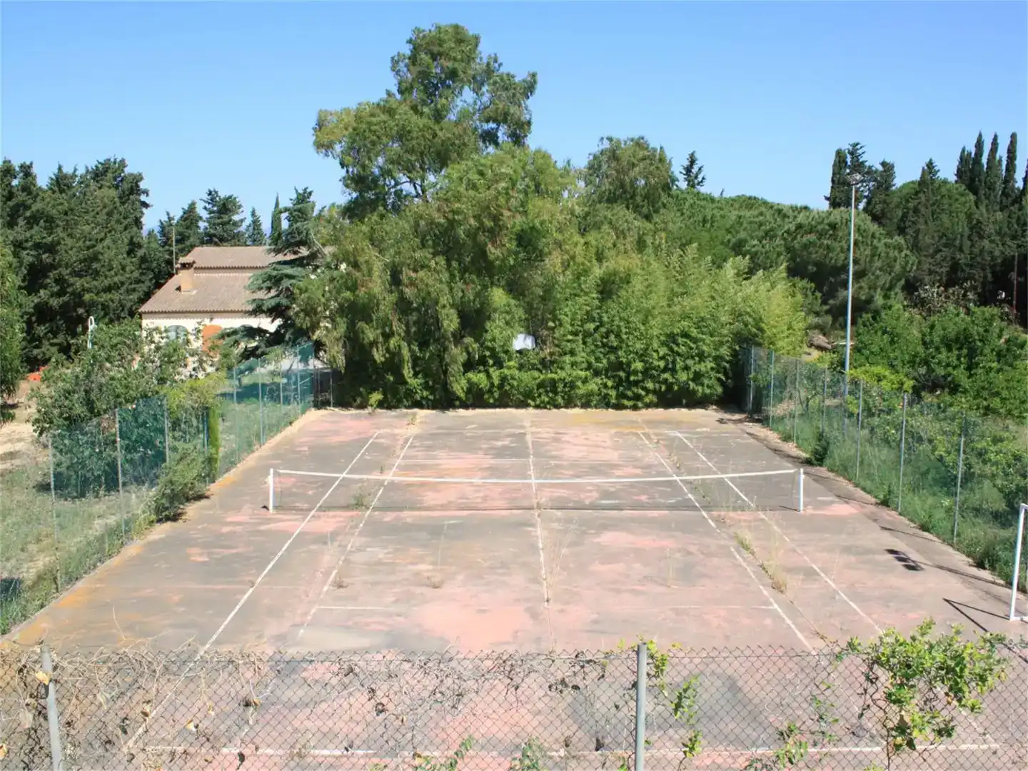 Jardí de Finca rústica en venda en Riudoms