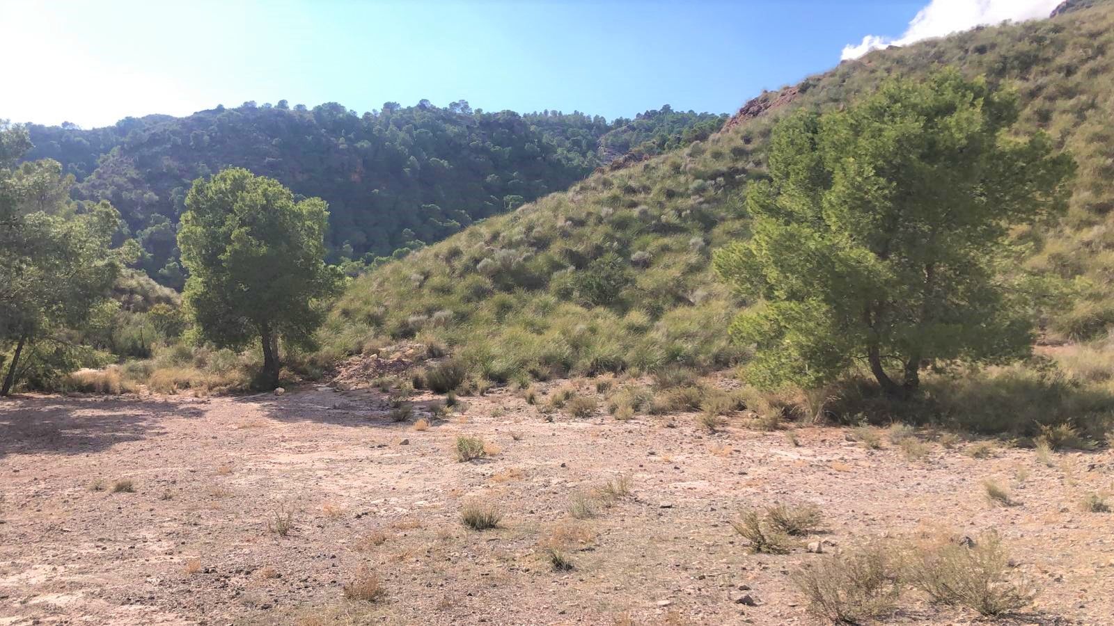 Land for sale in Lorca