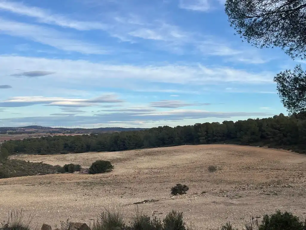 Terrenos y solares en venta en Hellín, imagen 11