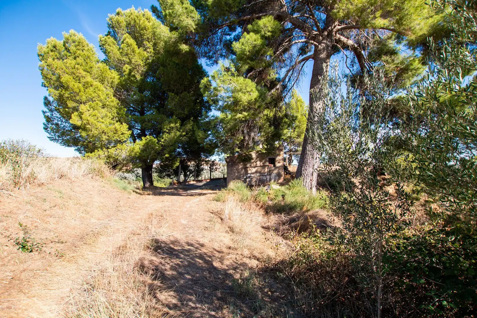 Terreno en venta en Caspe