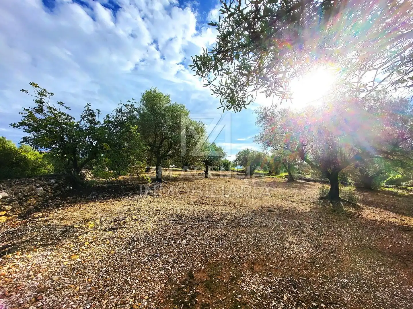 Casa rústica en venta en Traiguera, imagen 2