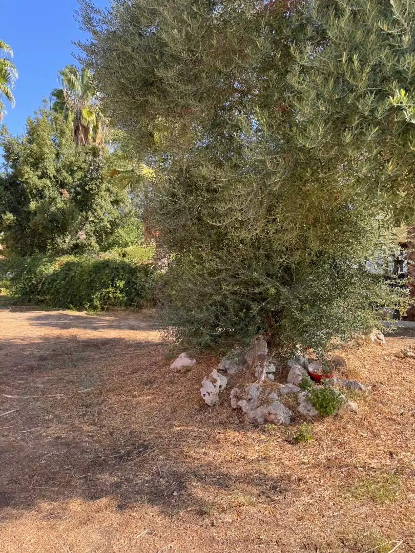 Casa o chalet en venta en Carmona con Aire acondicionado, Calefacción y Jardín privado