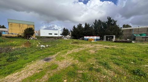 Photo 2 of Industrial land for sale in Benalup-Casas Viejas, Cádiz