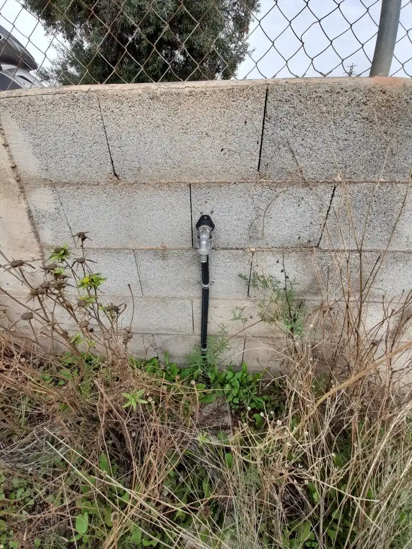 Jardí de Casa o xalet en venda en Novelda amb Terrassa i Alarma