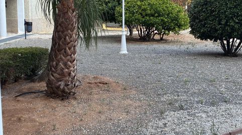 Jerez de la FronteraPiso, imatge 4
