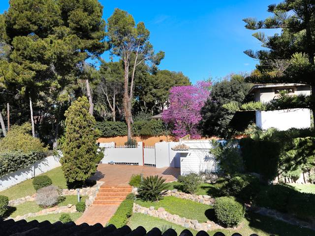 Casa-chalet en Alquiler en Carrer de Pino Panera en Campolivar