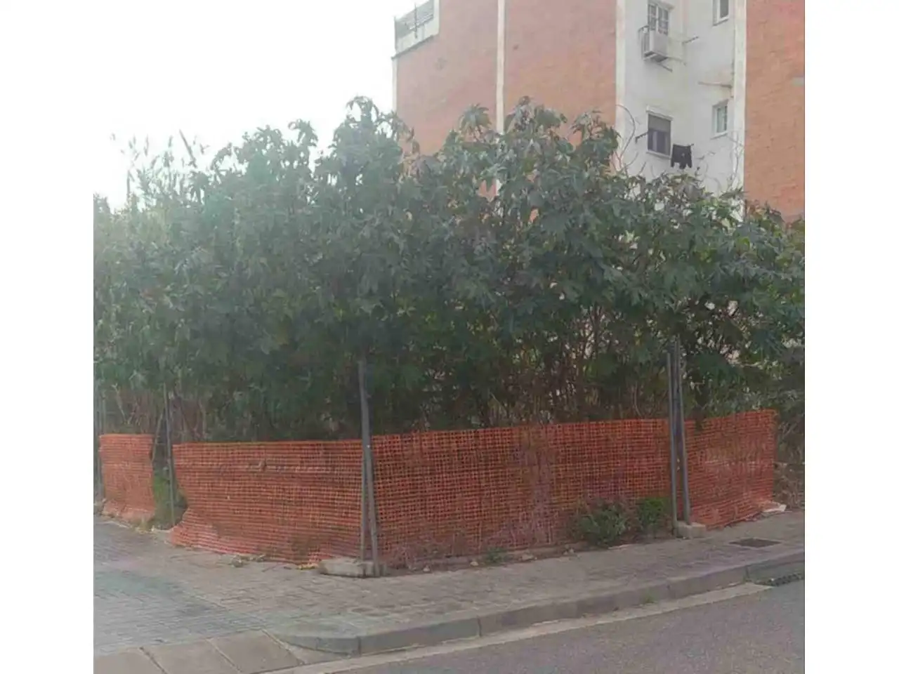Terreno rustico in vendita a Calle Pere III 44, imagen 4