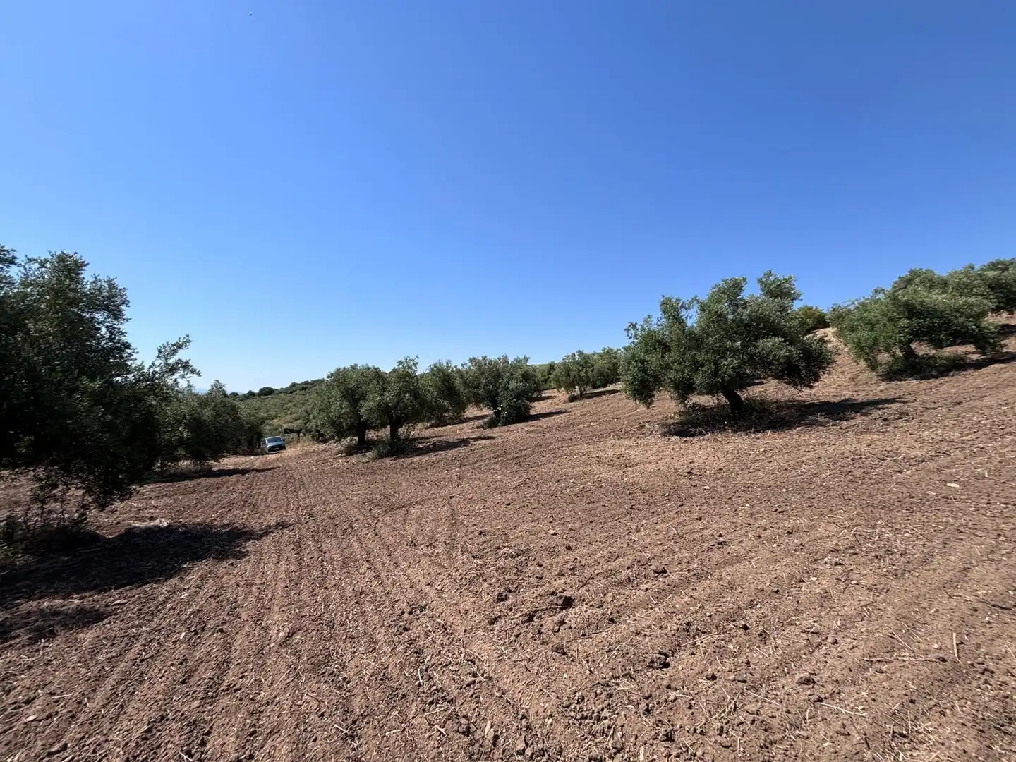 Terreni e lotti in vendita a Arcos de la Frontera, imagen 23