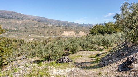 Photo 4 of Land for sale in El Pinar, Granada
