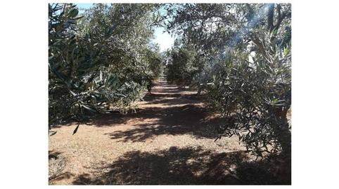 Photo 2 of House or chalet for sale in Gran Tarajal, Tesejerague, Las Palmas