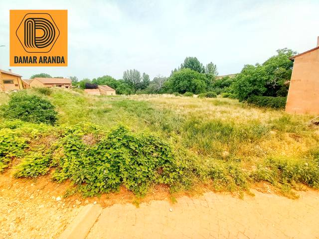 Terreno residencial en Venta en Camino Iglesia, 24 en Ayllón