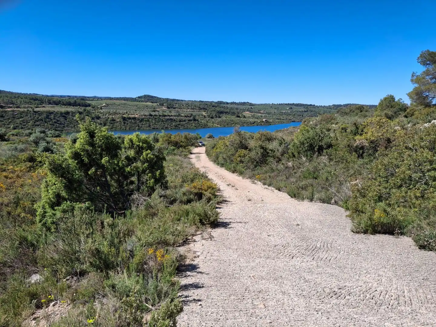 Terreno rustico in vendita a Cervià de Les Garrigues, imagen 19