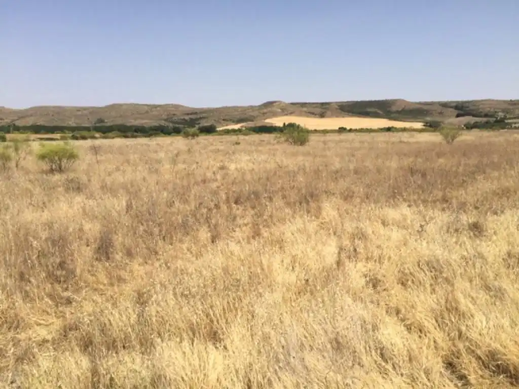 Terreny rústic en venda a ALONDRA (DE LA), imagen 7