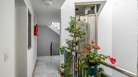 Photo 2 of Flat to rent in Calle Menendez Pelayo, 25, San Bartolomé,  Sevilla Capital