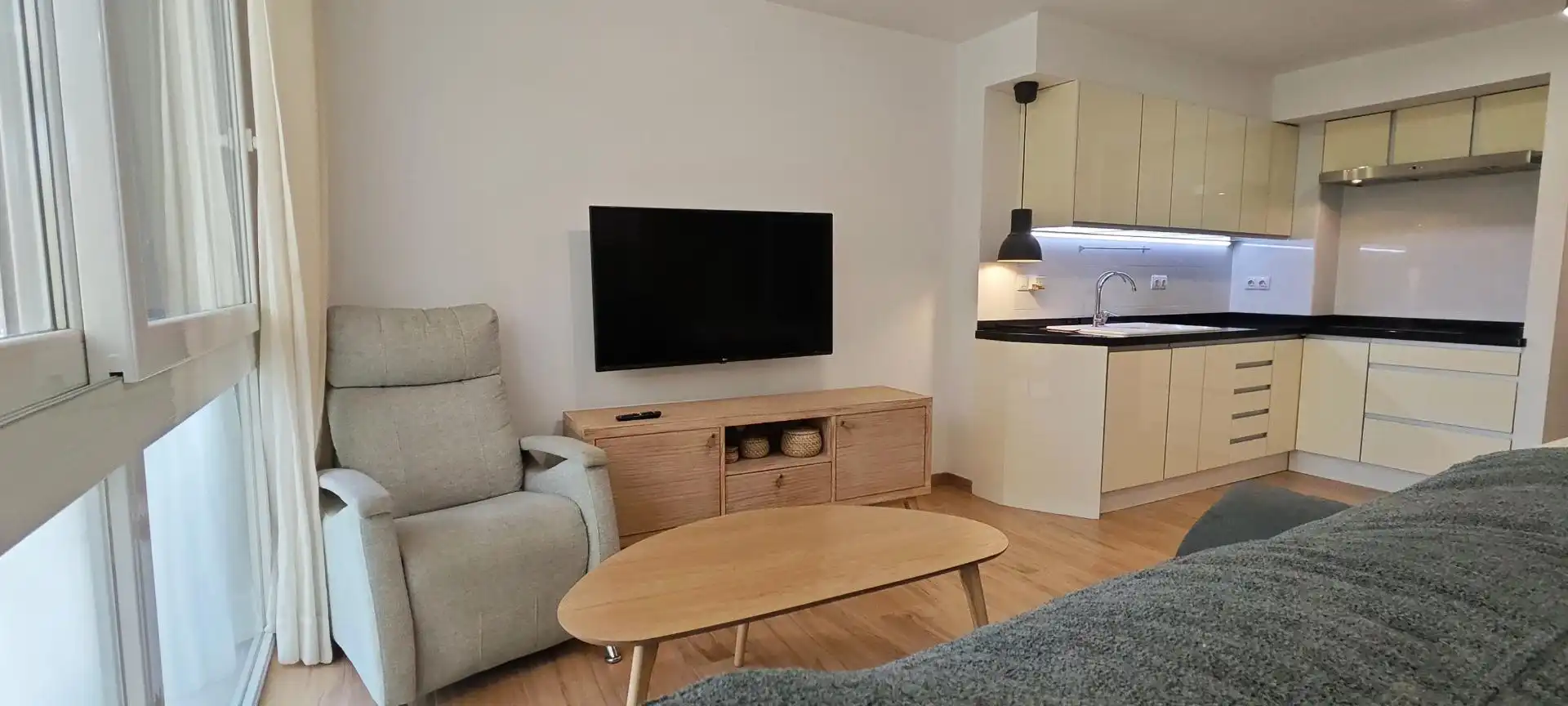 Living room of Apartments for sale in Alicante / Alacant  with Air Conditioner, Private garden and Storage room