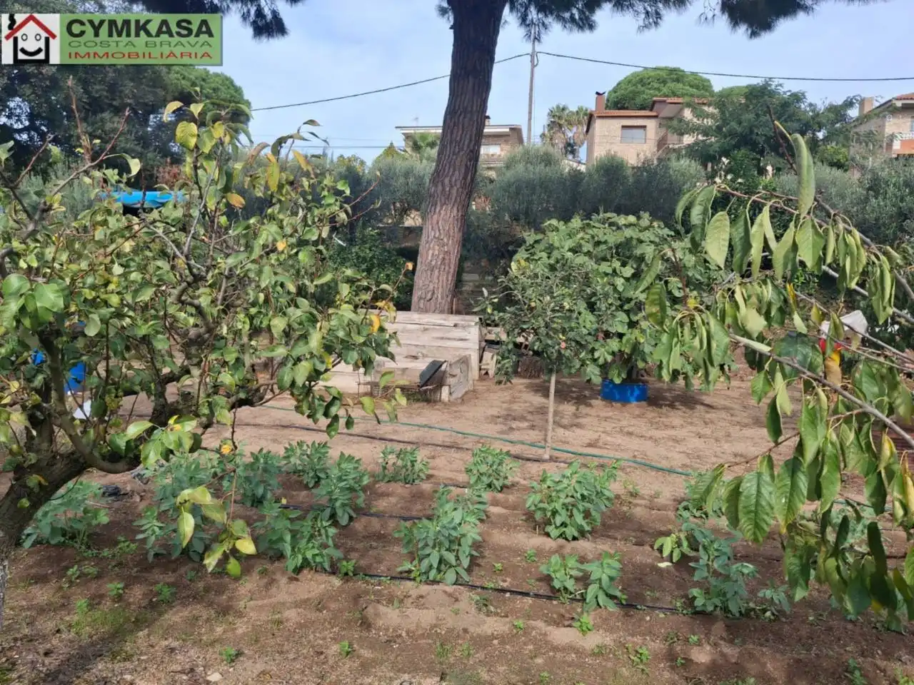 Residential land for sale in Palafolls, imagen 13